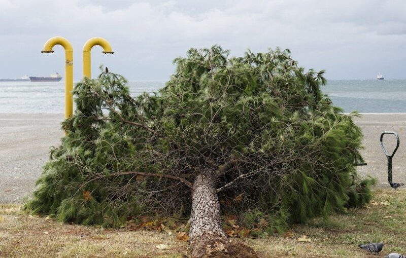 IZDATA UPOZORENJA, ŠKOLE SE ZATVARAJU Potpuni haos u Grčkoj, turisti ostali zaglavljeni u blatu na Krfu